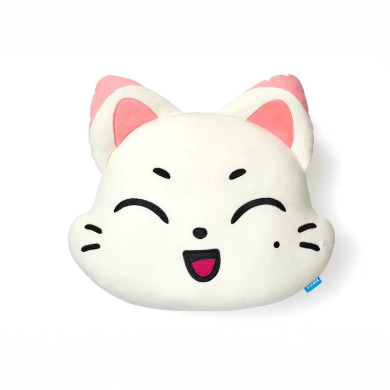 ENHYPEN PILLOWS 35CM